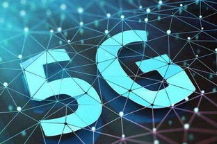 长三角一体化发展规划纲要出台 技术服务赋能区域协同新格局